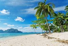 7X5 футов Красивые тропические пальмы леса море пляж горы пользовательские фотостудии фоны Виниловые 220 см X 150 см 2024 - купить недорого