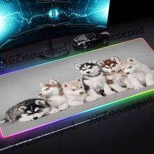 XGZ Animal Cute Pet Dog Husky High Definition Custom Large RGB Mouse Pad Black Lock Edge Computer Desk Mat Rubber Non-slip Xxl 2024 - buy cheap