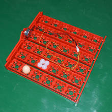 Miniincubadora para huevos de aves, herramienta de torneado automático, equipo de incubación, 36 huevos/144 2024 - compra barato