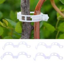 50/100pcs trellis  Garden Vegetables Tomato Vine Stalks Grow Upright Support Plant Clips Hot For Garter Plants Agriculture Tools 2024 - buy cheap