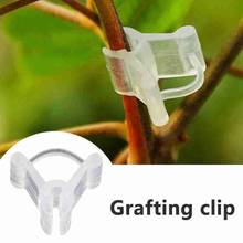 10pcs Garden Grafting Clip Plastic Transparent Vegetable Flower Plants Grafted Clips Clamp Gardening Nursery Vine Fixation Tools 2024 - buy cheap