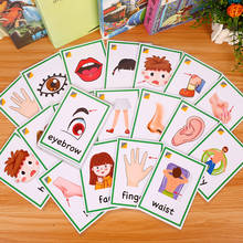 Tarjeta cognitiva de partes del cuerpo para niños, juguete educativo Montessori para aprendizaje de idiomas en inglés, 30 unidades 2024 - compra barato