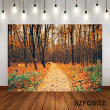 Autumn Deciduous Forest Path Photography Backdrop FamilyTake Pictures Vinyl Landscape Background Children Custom Birthday Banner 2024 - buy cheap