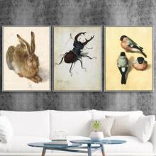 Картина «Альбрехт Дюрер», постер с птицами, современное растение, Модульная картина с животными, изображение насекомых спальни 2024 - купить недорого