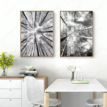 Póster de árbol de bosque blanco y negro para decoración del hogar, lienzo nórdico, arte de pared, carteles e impresiones, imagen para decoración de sala de estar 2024 - compra barato