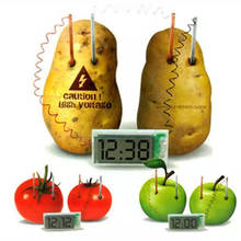 Potato Clock Novel Green Science Project Experiment Kit Lab Home School Toy Funny Educational DIY Material For Children Kids 2024 - buy cheap