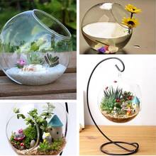 Transparent Glass Vase Decor Terrarium Home Clear 15cm Bottle Hydroponic Garden 2024 - buy cheap