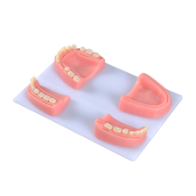 Modelo de sutura oral con sutura de goma dental, herramienta de entrenamiento de enseñanza médica, habilidades, práctica de sutura ortodontal 2024 - compra barato