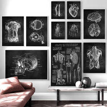Настенная картина для медицинской клиники, художественное пособие по анатомии человека, скелет, органная Мышечная система, винтажная холщовая печать, плакат для обучения телу 2024 - купить недорого