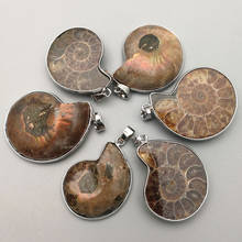 Fashion natural Ammonite stone Snail Pendants & necklaces charms 6pcs for Jewelry making Reliquiae Fossils Necklace accessories 2024 - купить недорого