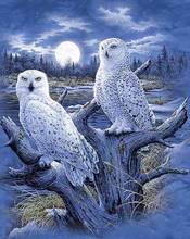 Snowy Owls вышивка с животными для рукоделия, 14ct Счетный набор для рукоделия, Набор для вышивки крестом ручной работы, искусство, декор стен 2024 - купить недорого