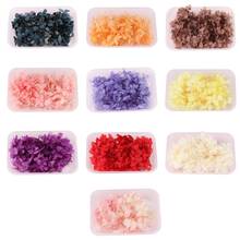 1 Box Dried Flowers UV Resin Decorative Natural Flower Stickers 3D Dry Beauty Decal Epoxy Mold DIY Filling Making Craft 2024 - buy cheap