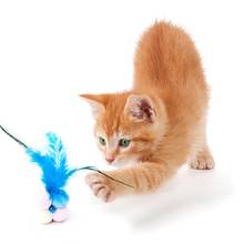 1 шт. кошка игрушка цветной помпон искусственный перо колокольчик декор кошка обучающая игрушка для домашних животных, издает звуки кошки сувениры товары для домашних животных случайный цвет 2024 - купить недорого
