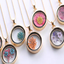 Fashion Gypsophila Natural Dried Flower Pendant Necklace For Women Round Colorful Plant Handmade Korean Jewelry Girl Female Gift 2024 - buy cheap