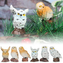 Mini Owl Figurine Simulation Birds Miniatures Animal Micro Landscape Bonsai Adornment Fairy Garden Home Garden Resin Craft Decor 2024 - buy cheap