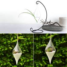 Hanging Glass Vase Terrarium Plant Flower Clear Container Indoor Home Decoration Creative Drop Shipping 2024 - buy cheap