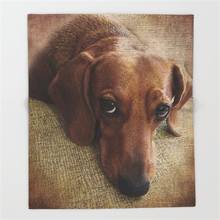 Pet Blanket Funny Printed Soft Boy Girl Baby Coral Fleece Dachshund  Blankets Muti-size Spring Warm Sofa Bed Sheets 2024 - buy cheap