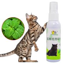 Cat Catnip Pet Training Toy Natural Healthy Cat Mint Funny Scratch Toy Spray Cat Accessories 2024 - buy cheap