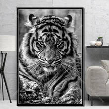 Decoración artística G406, pintura en lienzo de seda, póster, Animal, Rey, Tigre, blanco y negro 2024 - compra barato