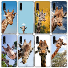 Giraffe Anime Cute Phone Case For Huawei P50 P40 Pro P30 Lite P20 P10 Mate 10 20 Lite 30 40 Pro Cover Coque Shell 2024 - buy cheap