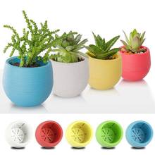 7*7cm BIG SALE Creative Eco-friendly Colourful Round Plastic Plant Flower Pot Garden Home Office Decor Planter 2024 - buy cheap