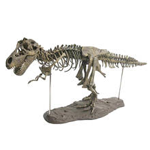 Kit de blocos de modelo de esqueleto de dinossauro 4d sem montar, presente para crianças meninos e meninas 2024 - compre barato