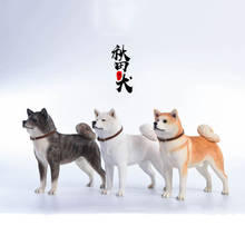 Mr.Z JXK-figura de acción a escala 1/6 de Japón, perro mascota, modelo de perro, regalo, modelo F de 12 ", escena, decoración de coche 2024 - compra barato