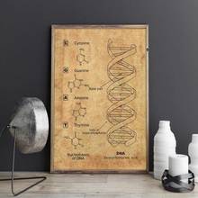 Charol de DNA para decoración de pared, pósteres de arte de pared de biología, impresión vintage, estampado de planos, idea de regalo para estudiantes de medicina, decoraciones de Ciencia 2024 - compra barato