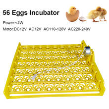 Multifunction 56 Plastic Egg Tray Automatic Turn Egg With 220V Motor For 48/96 Mini Brooder Incubator Spare Parts Accessory 2023 - buy cheap