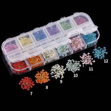 24Pcs Real Pressed Flower Anne's Lace Dried Flower Nail Art Resin Jewelry Making 2024 - buy cheap