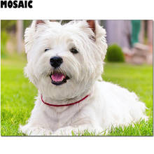 Westie Алмазная картина для собак, вышивка крестом, полная дрель, квадратная круглая Алмазная вышивка 5D, полная дрель, мозаика, Декор, домашнее животное 2024 - купить недорого