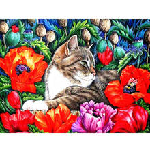 5D алмазная живопись, полный квадрат/круглый кот с цветком, Алмазная мозаика, вышивка, животное стразы, картина, домашний декор 2024 - купить недорого