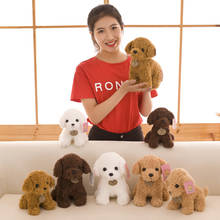 Creative Ted Dog Plush Toy Soft Stuffed Doll Cute Poodleas Child Birthday Present 20cm 2024 - buy cheap