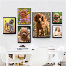 5D Diamond Painting Poodle Animal Diamond Embroidery Teddy Dog Cross Stitch Kit Mosaic Picture Home Decoration Art Gift 2024 - buy cheap