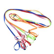 Portable New Parrot Bird Hamster Turtle Lizard Traction Rope Reins 8-shaped Pet Strap Leash 2024 - buy cheap