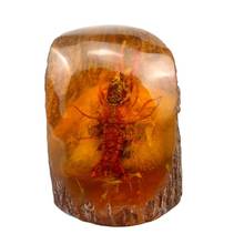 Natural amber wax  Lobster ornament, stone, living insect specimen 2024 - buy cheap