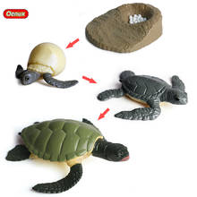 Oenux Simulation Marine Animals Turtle Growth Cycle Model Action Figures Classic Sealife Tortoise PVC Baby Educational Kid Toys 2024 - buy cheap