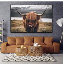 Pintura em tela escandinavo para sala de estar, pôsteres nórdicos de animais bovinos, arte de parede, pôsteres escandinavo para decoração 2024 - compre barato
