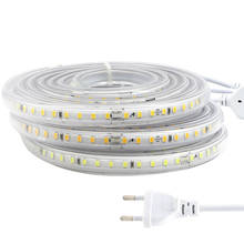 Tira de luces Led flexibles, cinta impermeable para iluminación de exteriores, jardín, cocina, armarios, AC220V SMD 2835, 120LED/metro 2024 - compra barato