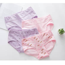 sales promotion new arrived underwear middle waist girls cotton young panties 5pc/lot Teenage Intimates briefs   M-3XL 2024 - buy cheap