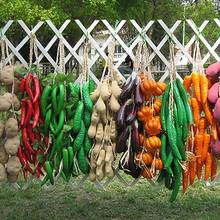 HOT SALES！！！New Arrival Artificial Fruit Foam Vegetable Corn Pepper Garlic Hanging Photo Prop Home Decor Wholesale Dropshipping 2024 - buy cheap