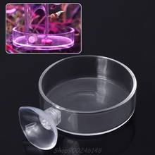 New Arrival Fish Tank Feeder Aquarium Shrimp Glass Feeding Bowl Clear Dish Tray Jy28 20 Dropship 2024 - buy cheap