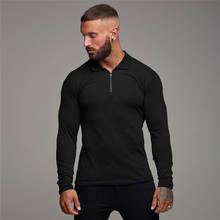 Polo Shirt Mens Long Sleeve Solid Color Polo Shirts Zipper Slim Turn-Down Collar Autumn Gym Bodybuilding Fitness Poloshirt 2024 - buy cheap