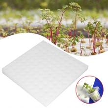 100 holes Soiless Hydroponic Gardening Plant Tools Vegetable System Cultivation Sponge 25cm Planted Y9N9 2024 - buy cheap