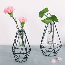 Minimalist Nordic Geometric Iron Glass Vase Scindapsus Hydroponic Dried Flower Stand Living Room Table Ornament Home Decor 2024 - buy cheap