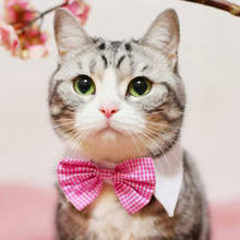 [MPK Cat Bow Ties] Pet Bow Ties in Various Designs, Cats and Dogs Collar Pet Bow Tie 2024 - buy cheap