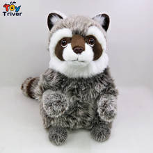 Cute Raccoon Plush Toys Racoon Stuffed Animals Doll Baby Kids Children Boys Girls Adults Birthday Gifts Home Room Decor Crafts 2024 - buy cheap