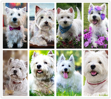 5d Diy Diamond Painting Westie Dog Full Square Round Drill Diamond Embroidery Pet Dog Mosaic Picture Pastes Home Decor 2024 - buy cheap