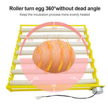Hot Selling  Roller Egg Tray Quail Goose Chicken Duck Bird Poultry Eggs Tray Farm Incubation With Motor Turn The Eggs 2024 - buy cheap