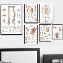 Póster e impresiones de anatomía del cuerpo humano, cuadro médico de columna vertebral, articulación de rodilla y pie, imágenes artísticas de pared para decoración del hogar y sala de estar 2024 - compra barato